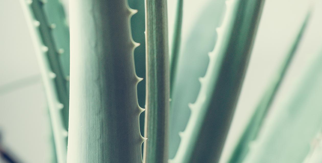 Idée DIY après soleil