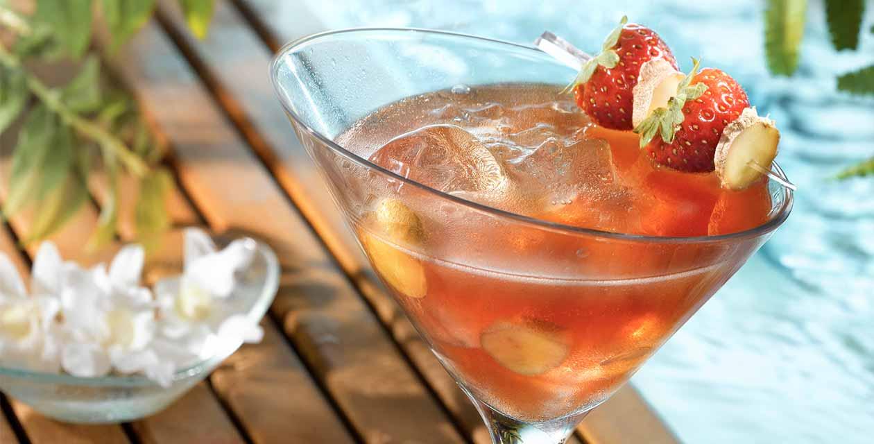 Visuel paysage Mockail Ginger d'Artigny