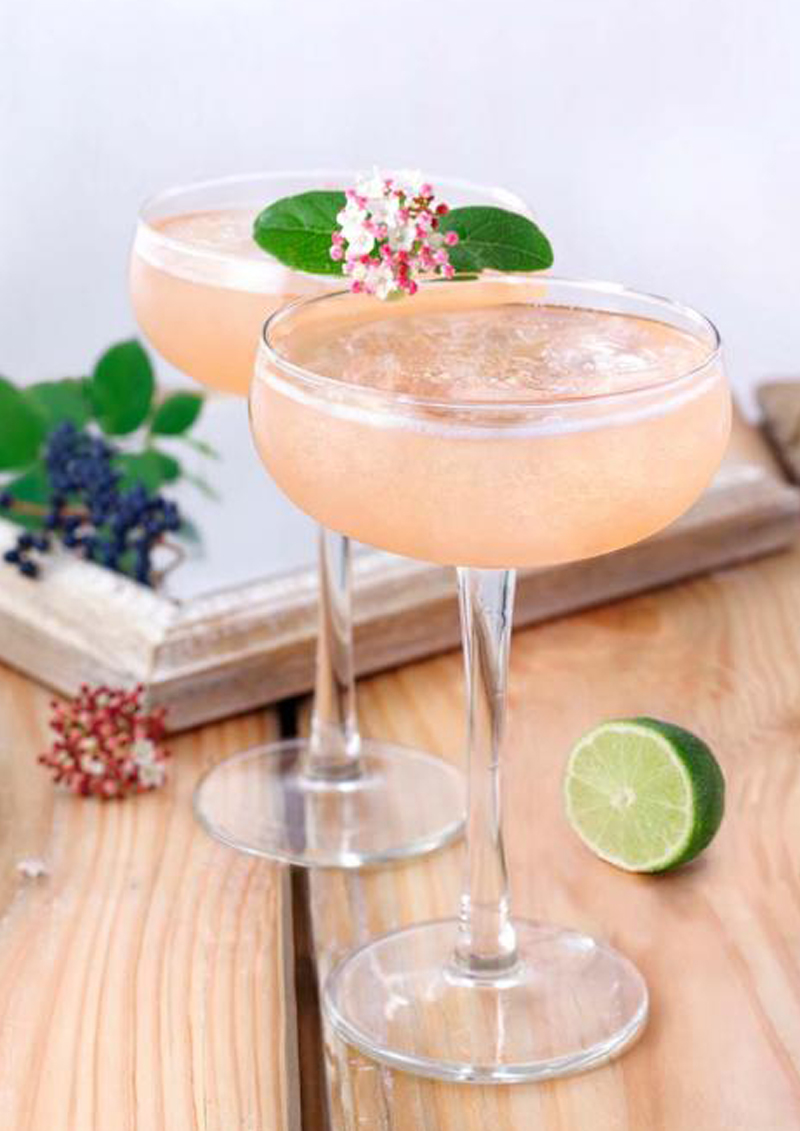 Mocktail Peach'N Freeze D'ARTIGNY